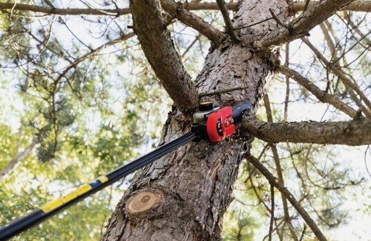 TrimmerPlus PS720 Pole Saw Attachment