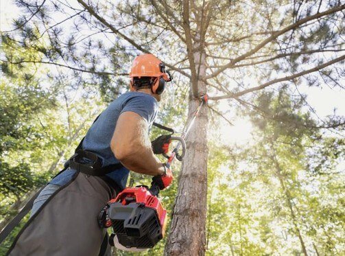 TrimmerPlus PS720 Pole Saw Attachment